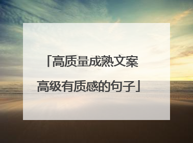 高质量成熟文案 高级有质感的句子