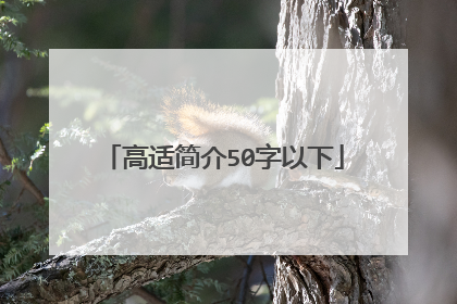 高适简介50字以下
