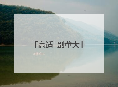 高适 别董大