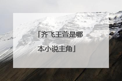 齐飞王萱是哪本小说主角