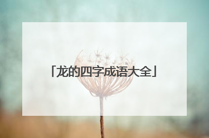 龙的四字成语大全