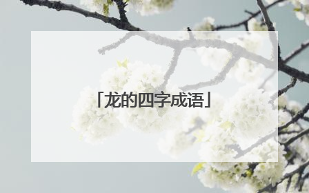 龙的四字成语
