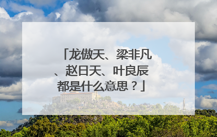 龙傲天、梁非凡、赵日天、叶良辰都是什么意思?