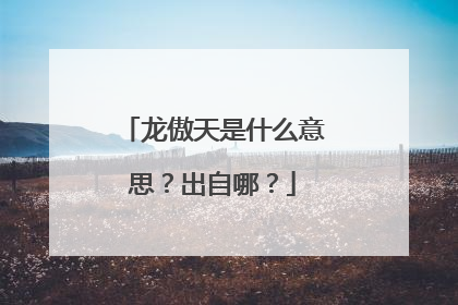 龙傲天是什么意思?出自哪?