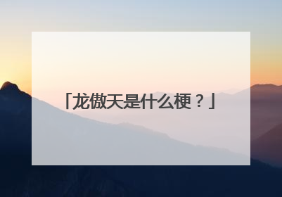 龙傲天是什么梗?
