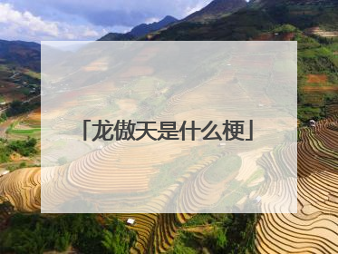 龙傲天是什么梗