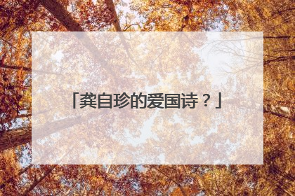 龚自珍的爱国诗？