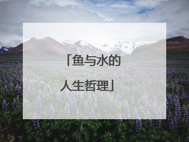 鱼与水的人生哲理