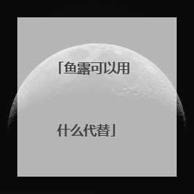 鱼露可以用什么代替