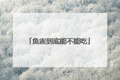 鱼露到底能不能吃