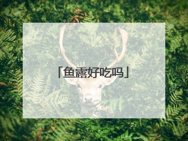 鱼露好吃吗