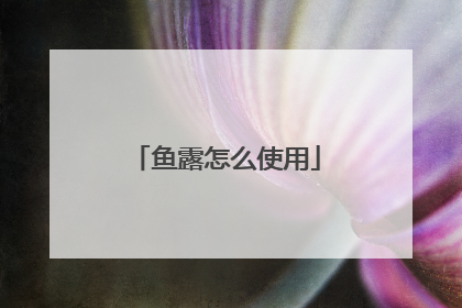 鱼露怎么使用