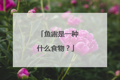鱼露是一种什么食物?
