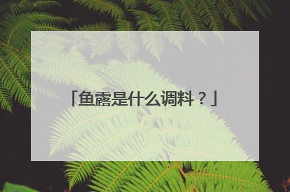 鱼露是什么调料？