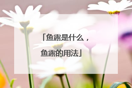 鱼露是什么，鱼露的用法