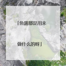 鱼露都是用来做什么的呀