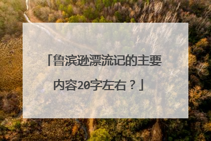 鲁滨逊漂流记的主要内容20字左右？
