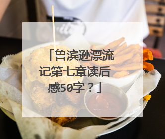 鲁滨逊漂流记第七章读后感50字？