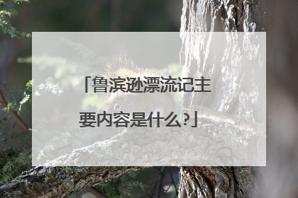 鲁滨逊漂流记主要内容是什么?