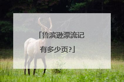 鲁滨逊漂流记有多少页?