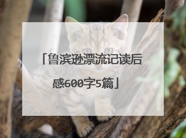 鲁滨逊漂流记读后感600字5篇
