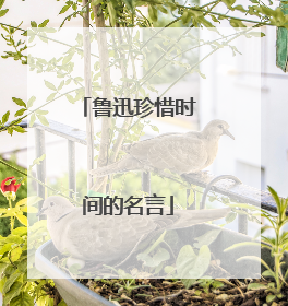 鲁迅珍惜时间的名言