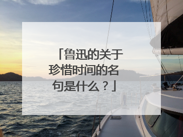 鲁迅的关于珍惜时间的名句是什么？