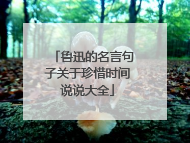 鲁迅的名言句子关于珍惜时间说说大全