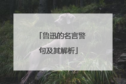 鲁迅的名言警句及其解析
