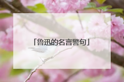 鲁迅的名言警句