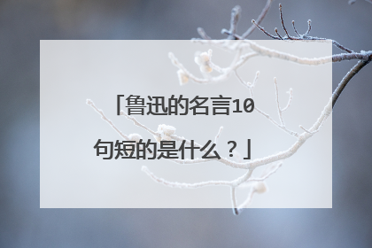 鲁迅的名言10句短的是什么？