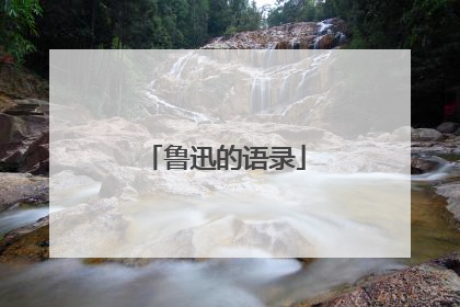鲁迅的语录