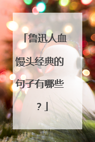 鲁迅人血馒头经典的句子有哪些?