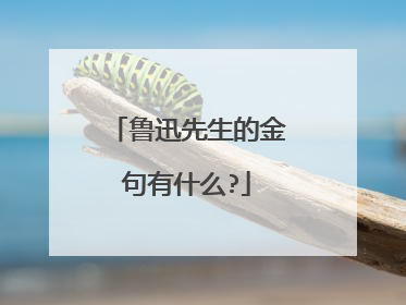 鲁迅先生的金句有什么?
