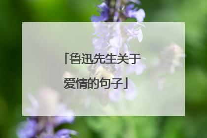 鲁迅先生关于爱情的句子