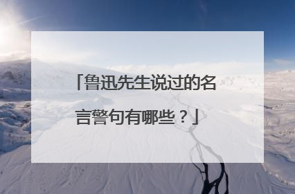 鲁迅先生说过的名言警句有哪些？