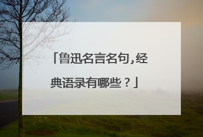 鲁迅名言名句,经典语录有哪些?