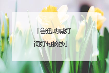 鲁迅呐喊好词好句摘抄