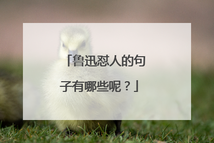 鲁迅怼人的句子有哪些呢？