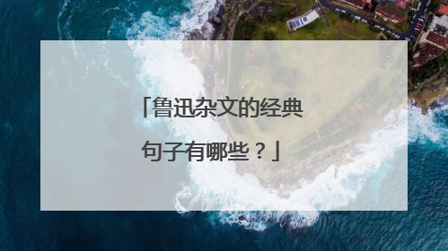 鲁迅杂文的经典句子有哪些？