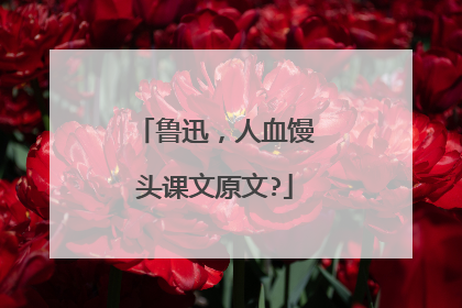 鲁迅,人血馒头课文原文?