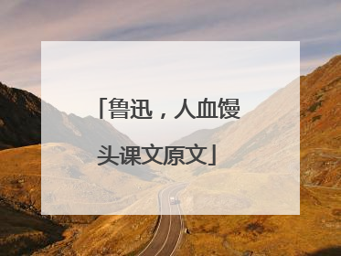 鲁迅，人血馒头课文原文