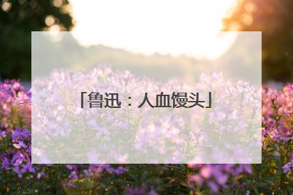 鲁迅:人血馒头
