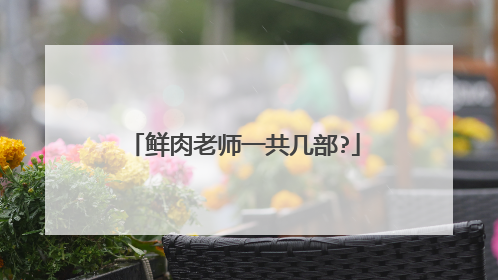 鲜肉老师一共几部?