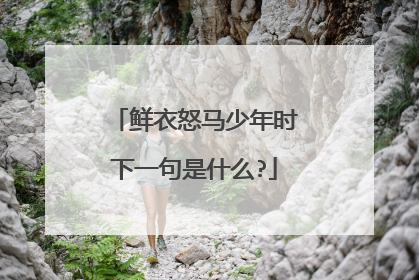 鲜衣怒马少年时下一句是什么?