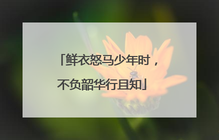 鲜衣怒马少年时,不负韶华行且知