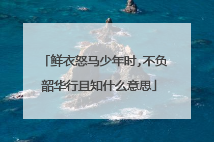 鲜衣怒马少年时,不负韶华行且知什么意思