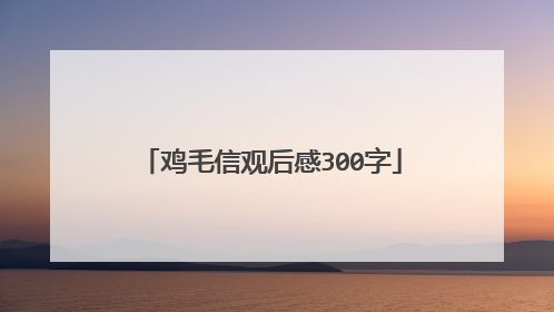 鸡毛信观后感300字