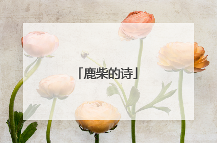 鹿柴的诗