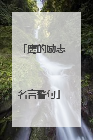 鹰的励志名言警句